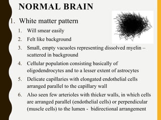 NORMAL BRAIN
1. White matter pattern
1. Will smear easily
2. Felt like background
3. Small, empty vacuoles representing dissolved myelin –
scattered in background
4. Cellular population consisting basically of
oligodendrocytes and to a lesser extent of astrocytes
5. Delicate capillaries with elongated endothelial cells
arranged parallel to the capillary wall
6. Also seen few arterioles with thicker walls, in which cells
are arranged parallel (endothelial cells) or perpendicular
(muscle cells) to the lumen - bidirectional arrangement
 