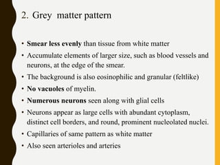 2. Grey matter pattern
• Smear less evenly than tissue from white matter
• Accumulate elements of larger size, such as blood vessels and
neurons, at the edge of the smear.
• The background is also eosinophilic and granular (feltlike)
• No vacuoles of myelin.
• Numerous neurons seen along with glial cells
• Neurons appear as large cells with abundant cytoplasm,
distinct cell borders, and round, prominent nucleolated nuclei.
• Capillaries of same pattern as white matter
• Also seen arterioles and arteries
 