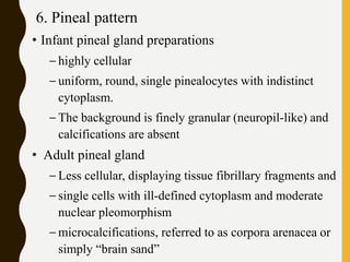 6. Pineal pattern
• Infant pineal gland preparations
– highly cellular
– uniform, round, single pinealocytes with indistinct
cytoplasm.
– The background is finely granular (neuropil-like) and
calcifications are absent
• Adult pineal gland
– Less cellular, displaying tissue fibrillary fragments and
– single cells with ill-defined cytoplasm and moderate
nuclear pleomorphism
– microcalcifications, referred to as corpora arenacea or
simply “brain sand”
 
