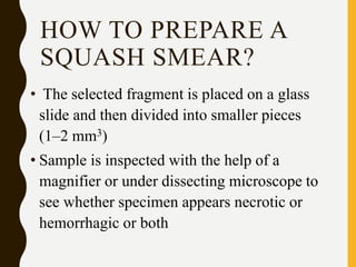 HOW TO PREPARE A
SQUASH SMEAR?
• The selected fragment is placed on a glass
slide and then divided into smaller pieces
(1–2 mm3)
• Sample is inspected with the help of a
magnifier or under dissecting microscope to
see whether specimen appears necrotic or
hemorrhagic or both
 