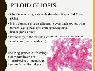 PILOID GLIOSIS
• Chronic reactive gliosis with abundant Rosenthal fibers
(RFs).
• It is a common process adjacent to cysts and slow-growing
tumors (e.g., pineal cyst, craniopharyngioma,
hemangioblastoma)
• Particularly in the midline axis (third ventricle, brainstem,
cerebellum, and spinal cord)
The long processes forming
a compact layer are
intermixed with numerous
hyaline Rosenthal fibers
 