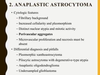2. ANAPLASTIC ASTROCYTOMA
• Cytologic features
– Fibrillary background
– Increased cellularity and pleomorphism
– Distinct nuclear atypia and mitotic activity
– Perivascular aggregates
– Microvascular proliferation and necrosis must be
absent
• Differential diagnosis and pitfalls
– Pleomorphic xanthoastrocytoma
– Pilocytic astrocytoma with degenerative-type atypia
– Anaplastic oligodendroglioma
– Undersampled glioblastoma
 