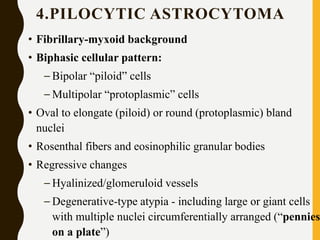 4.PILOCYTIC ASTROCYTOMA
• Fibrillary-myxoid background
• Biphasic cellular pattern:
– Bipolar “piloid” cells
– Multipolar “protoplasmic” cells
• Oval to elongate (piloid) or round (protoplasmic) bland
nuclei
• Rosenthal fibers and eosinophilic granular bodies
• Regressive changes
– Hyalinized/glomeruloid vessels
– Degenerative-type atypia - including large or giant cells
with multiple nuclei circumferentially arranged (“pennies
on a plate”)
 