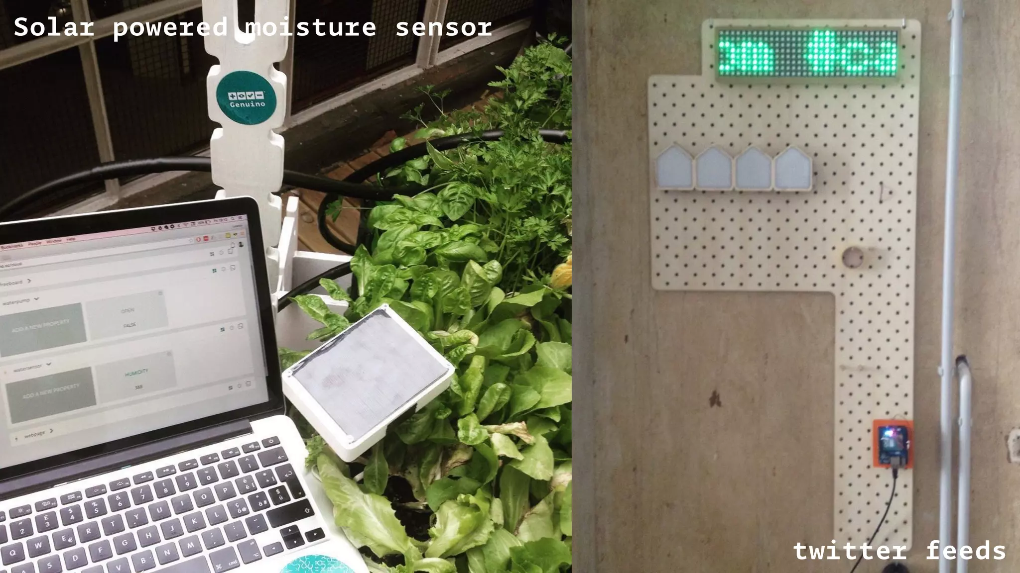 Solar powered moisture sensor
twitter feeds
 