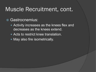 Muscle Recruitment, cont.
 Gastrocnemius:
 Activity increases as the knees flex and
decreases as the knees extend.
 Acts to restrict knee translation.
 May also fire isometrically.
 