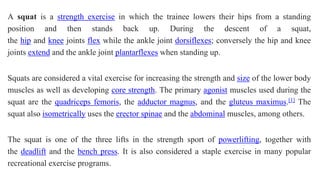 A squat is a strength exercise in which the trainee lowers their hips from a standing
position and then stands back up. During the descent of a squat,
the hip and knee joints flex while the ankle joint dorsiflexes; conversely the hip and knee
joints extend and the ankle joint plantarflexes when standing up.
Squats are considered a vital exercise for increasing the strength and size of the lower body
muscles as well as developing core strength. The primary agonist muscles used during the
squat are the quadriceps femoris, the adductor magnus, and the gluteus maximus.[1] The
squat also isometrically uses the erector spinae and the abdominal muscles, among others.
The squat is one of the three lifts in the strength sport of powerlifting, together with
the deadlift and the bench press. It is also considered a staple exercise in many popular
recreational exercise programs.
 