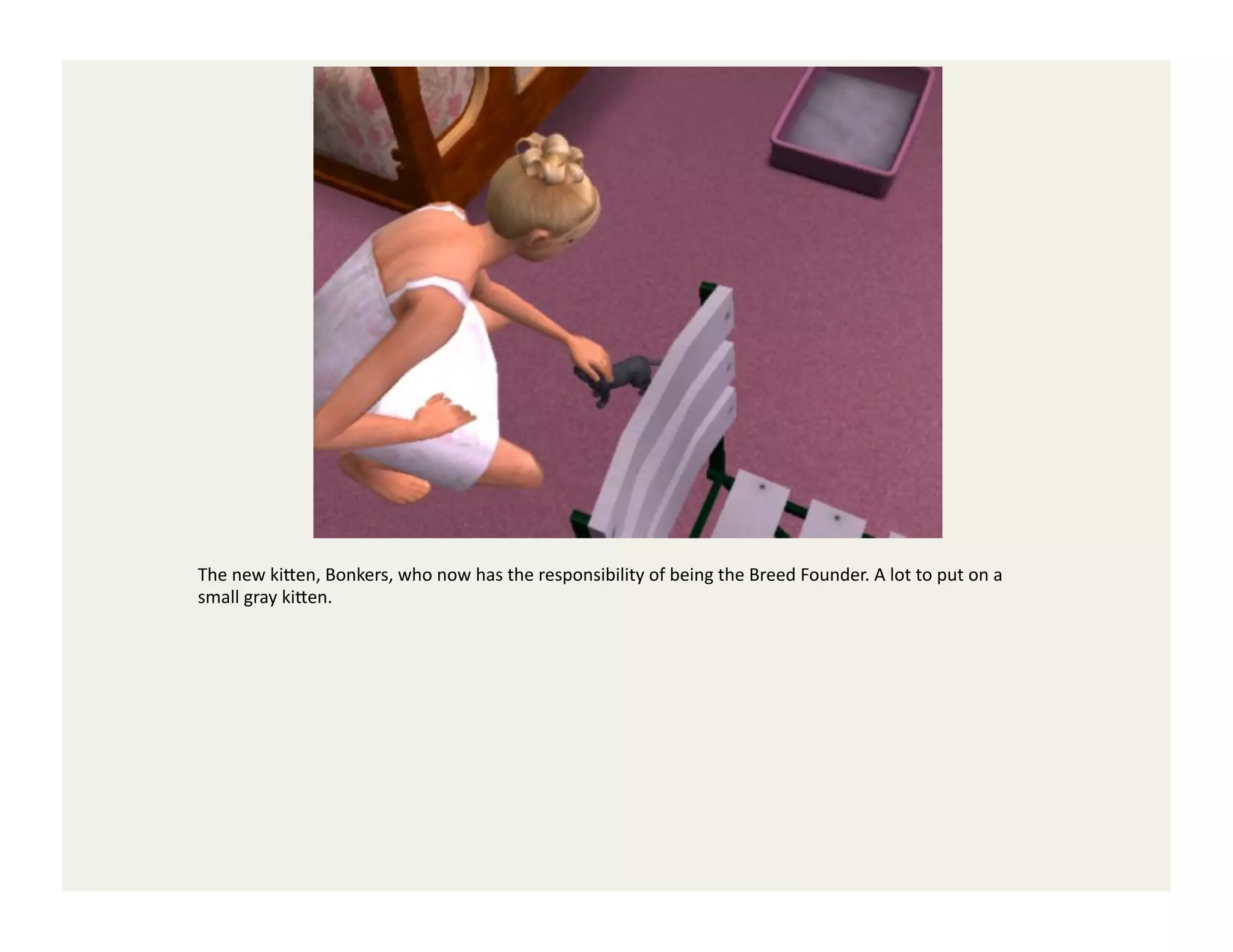 The	
  new	
  ki<en,	
  Bonkers,	
  who	
  now	
  has	
  the	
  responsibility	
  of	
  being	
  the	
  Breed	
  Founder.	
  A	
  lot	
  to	
  put	
  on	
  a	
  
small	
  gray	
  ki<en.	
  
 