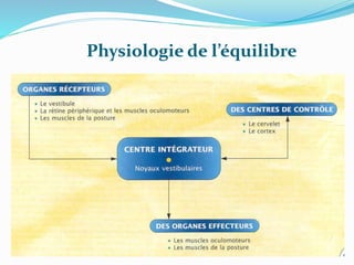 Physiologie de l’équilibre
 