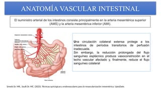 ISQUEMA MESENTERICA, TECNICA QUIRURGICA TRATAMIENTO MEDICO | PPTX