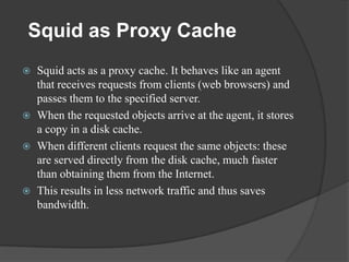 Squid | PPTX