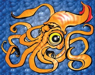 Squid 