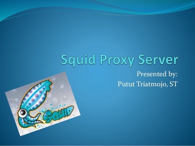 squidman ps4 proxy server