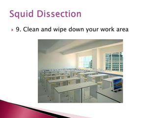  9. Clean and wipe down your work area
 