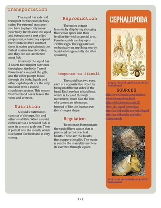 Squidnewsletter | PDF
