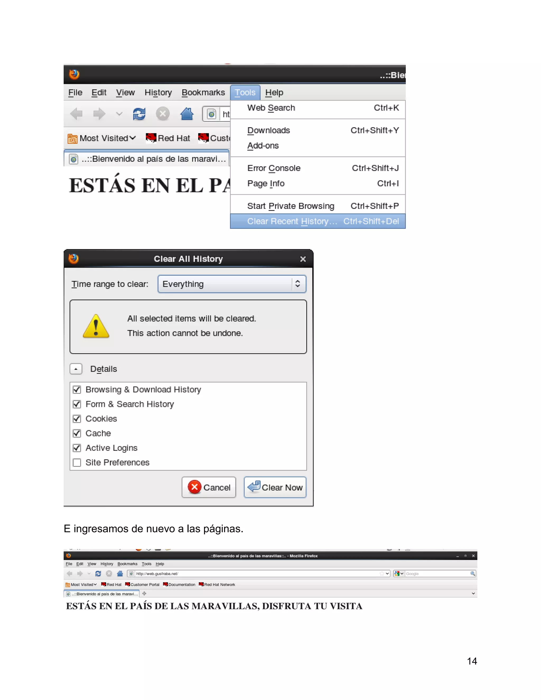 14
E ingresamos de nuevo a las páginas.
 