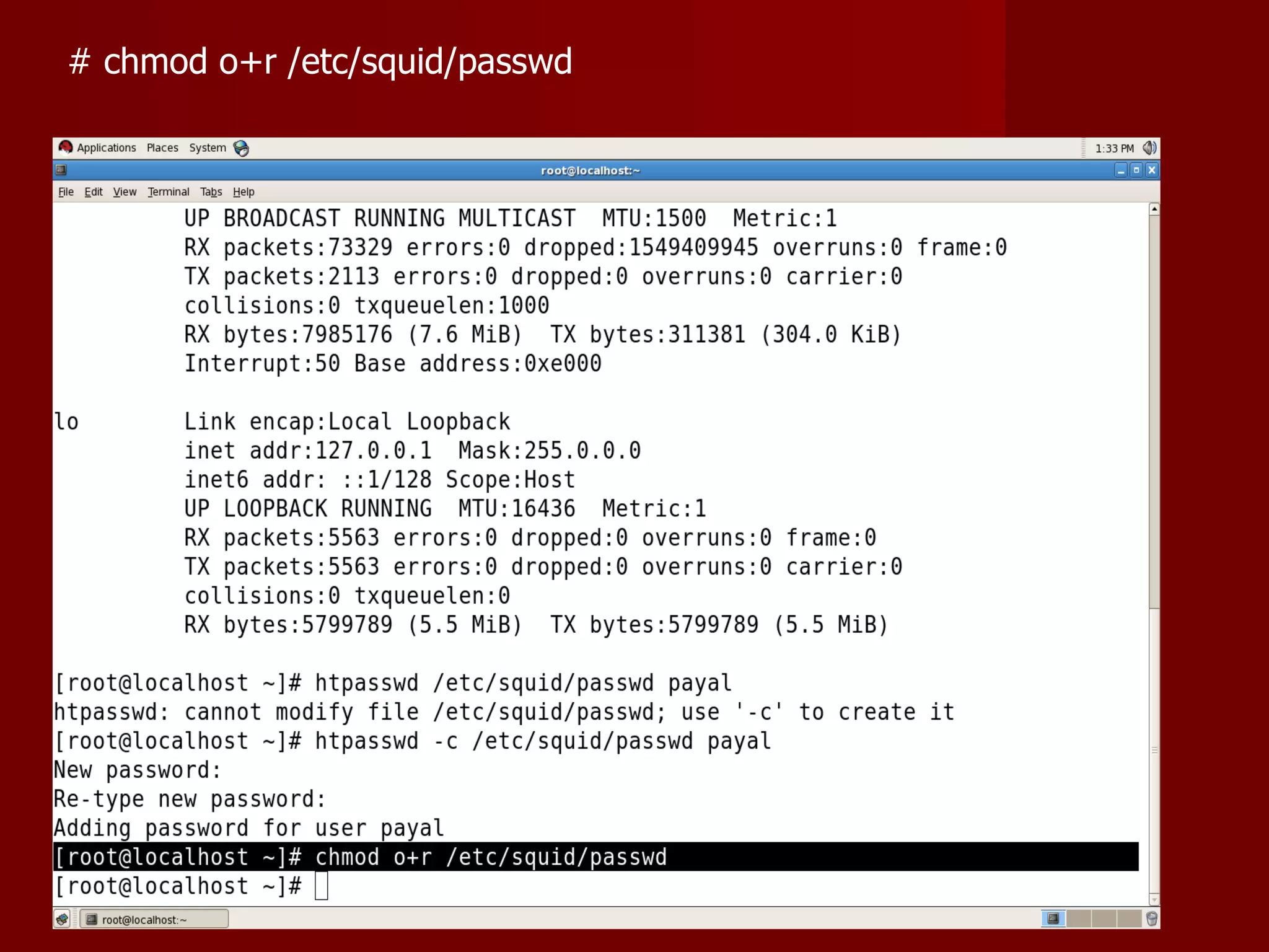 # chmod o+r /etc/squid/passwd  