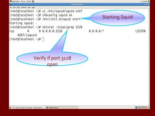 Starting Squid Verify if port 3128 open 