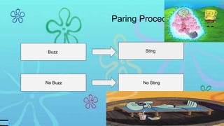 Paring Procedure
Buzz
No Buzz No Sting
Sting
 