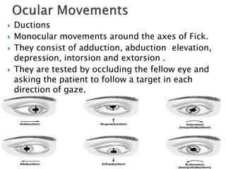  Ductions
 Monocular movements around the axes of Fick.
 They consist of adduction, abduction elevation,
depression, intorsion and extorsion .
 They are tested by occluding the fellow eye and
asking the patient to follow a target in each
direction of gaze.
 