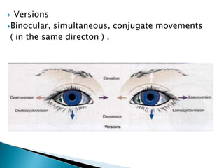  Versions
Binocular, simultaneous, conjugate movements
( in the same directon ) .
 