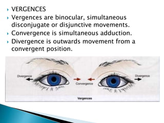  VERGENCES
 Vergences are binocular, simultaneous
disconjugate or disjunctive movements.
 Convergence is simultaneous adduction.
 Divergence is outwards movement from a
convergent position.
 