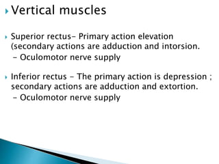  Vertical muscles
 Superior rectus- Primary action elevation
(secondary actions are adduction and intorsion.
- Oculomotor nerve supply
 Inferior rectus - The primary action is depression ;
secondary actions are adduction and extortion.
- Oculomotor nerve supply
 