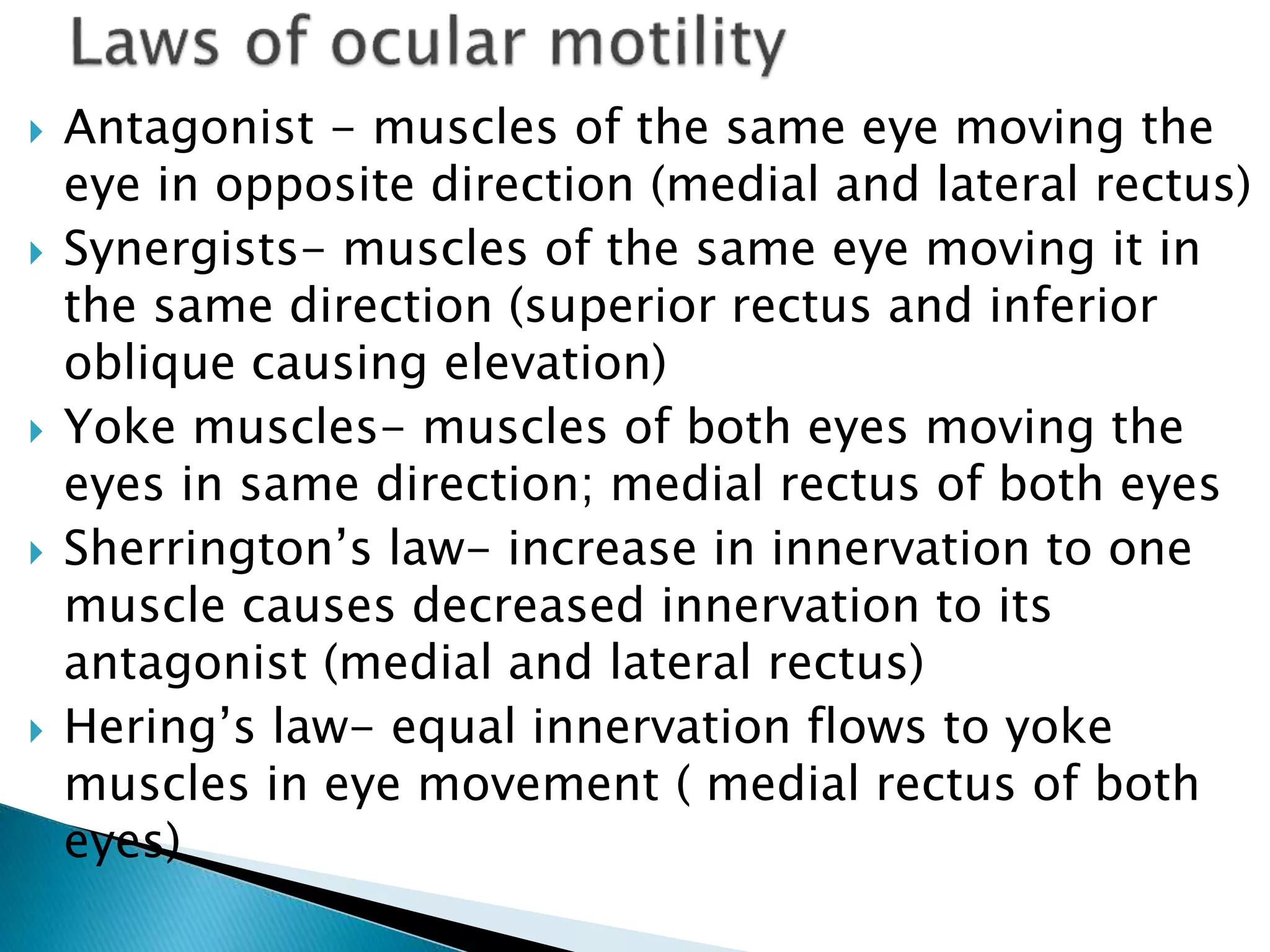  Antagonist - muscles of the same eye moving the
eye in opposite direction (medial and lateral rectus)
 Synergists- muscles of the same eye moving it in
the same direction (superior rectus and inferior
oblique causing elevation)
 Yoke muscles- muscles of both eyes moving the
eyes in same direction; medial rectus of both eyes
 Sherrington’s law- increase in innervation to one
muscle causes decreased innervation to its
antagonist (medial and lateral rectus)
 Hering’s law- equal innervation flows to yoke
muscles in eye movement ( medial rectus of both
eyes)
 