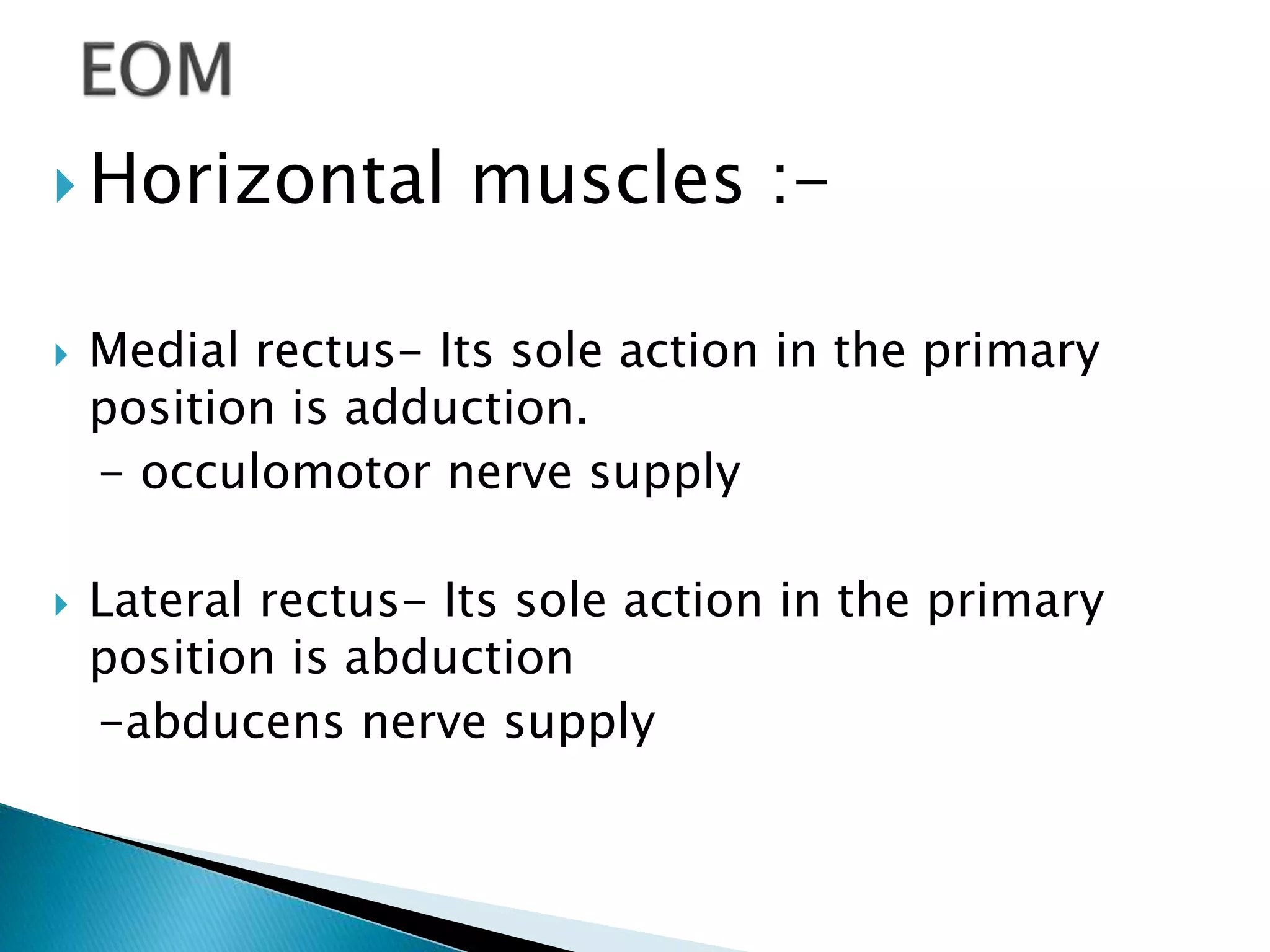  Horizontal muscles :-
 Medial rectus- Its sole action in the primary
position is adduction.
- occulomotor nerve supply
 Lateral rectus- Its sole action in the primary
position is abduction
-abducens nerve supply
 