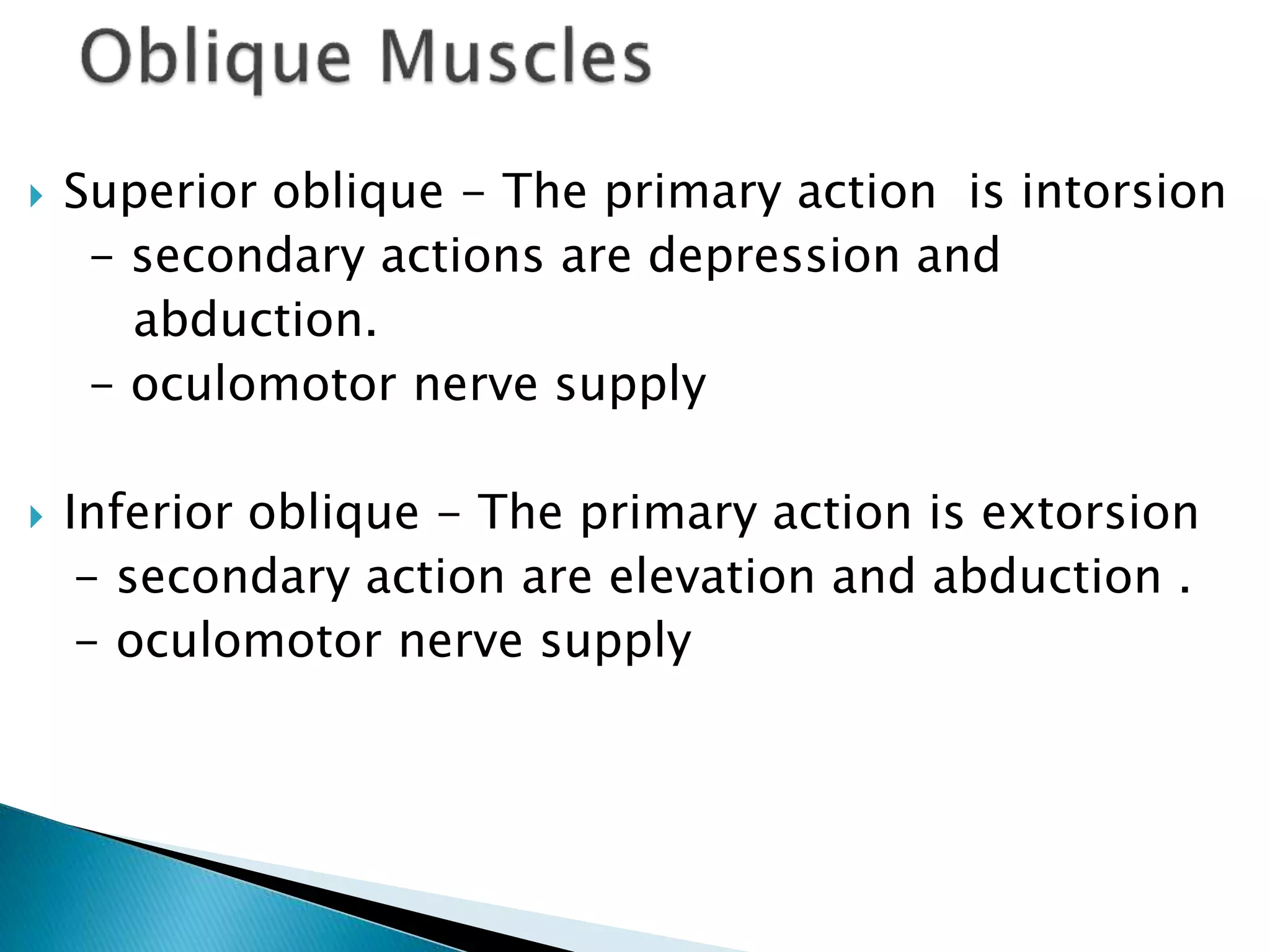  Superior oblique - The primary action is intorsion
- secondary actions are depression and
abduction.
- oculomotor nerve supply
 Inferior oblique - The primary action is extorsion
- secondary action are elevation and abduction .
- oculomotor nerve supply
 