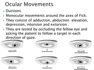  Ductions
 Monocular movements around the axes of Fick.
 They consist of adduction, abduction elevation,
depression, intorsion and extorsion .
 They are tested by occluding the fellow eye and
asking the patient to follow a target in each
direction of gaze.
 