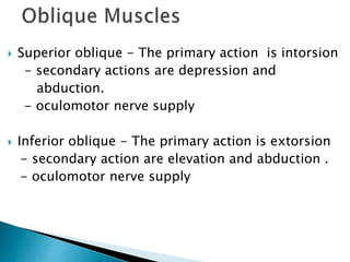  Superior oblique - The primary action is intorsion
- secondary actions are depression and
abduction.
- oculomotor nerve supply
 Inferior oblique - The primary action is extorsion
- secondary action are elevation and abduction .
- oculomotor nerve supply
 