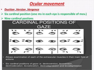 Ocular movement
• Duction ,Version ,Vergence
 Six cardinal position (one ms in each eye is responsible of mov.)
 Nine ca...