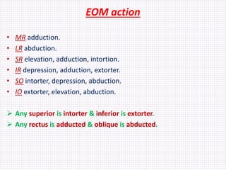 EOM action
• MR adduction.
• LR abduction.
• SR elevation, adduction, intortion.
• IR depression, adduction, extorter.
• S...