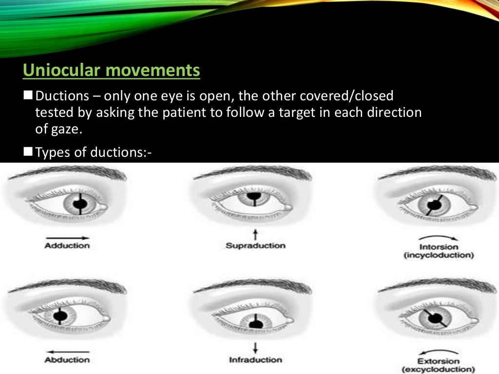 Clinical examination of squint