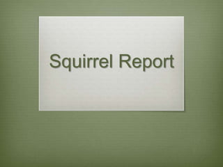 Squirrel Report
 