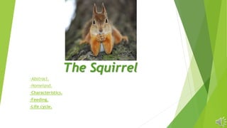 The Squirrel
-Abstract.
-Homeland.
-Characteristics.
-Feeding.
-Life cycle.