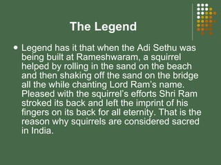The Legend Legend has it that when the Adi Sethu was being built at Rameshwaram, a squirrel helped by rolling in the sand on the beach and then shaking off the sand on the bridge all the while chanting Lord Ram’s name. Pleased with the squirrel’s efforts Shri Ram stroked its back and left the imprint of his fingers on its back for all eternity. That is the reason why squirrels are considered sacred in India.  