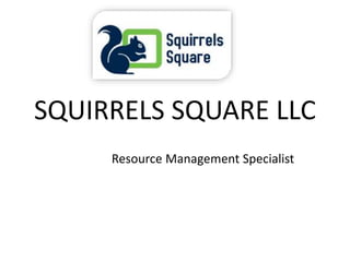 SQUIRRELS SQUARE LLC
Resource Management Specialist
 