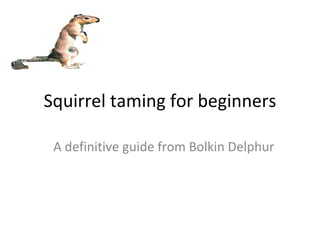 Squirrel taming for beginners A definitive guide from Bolkin Delphur 