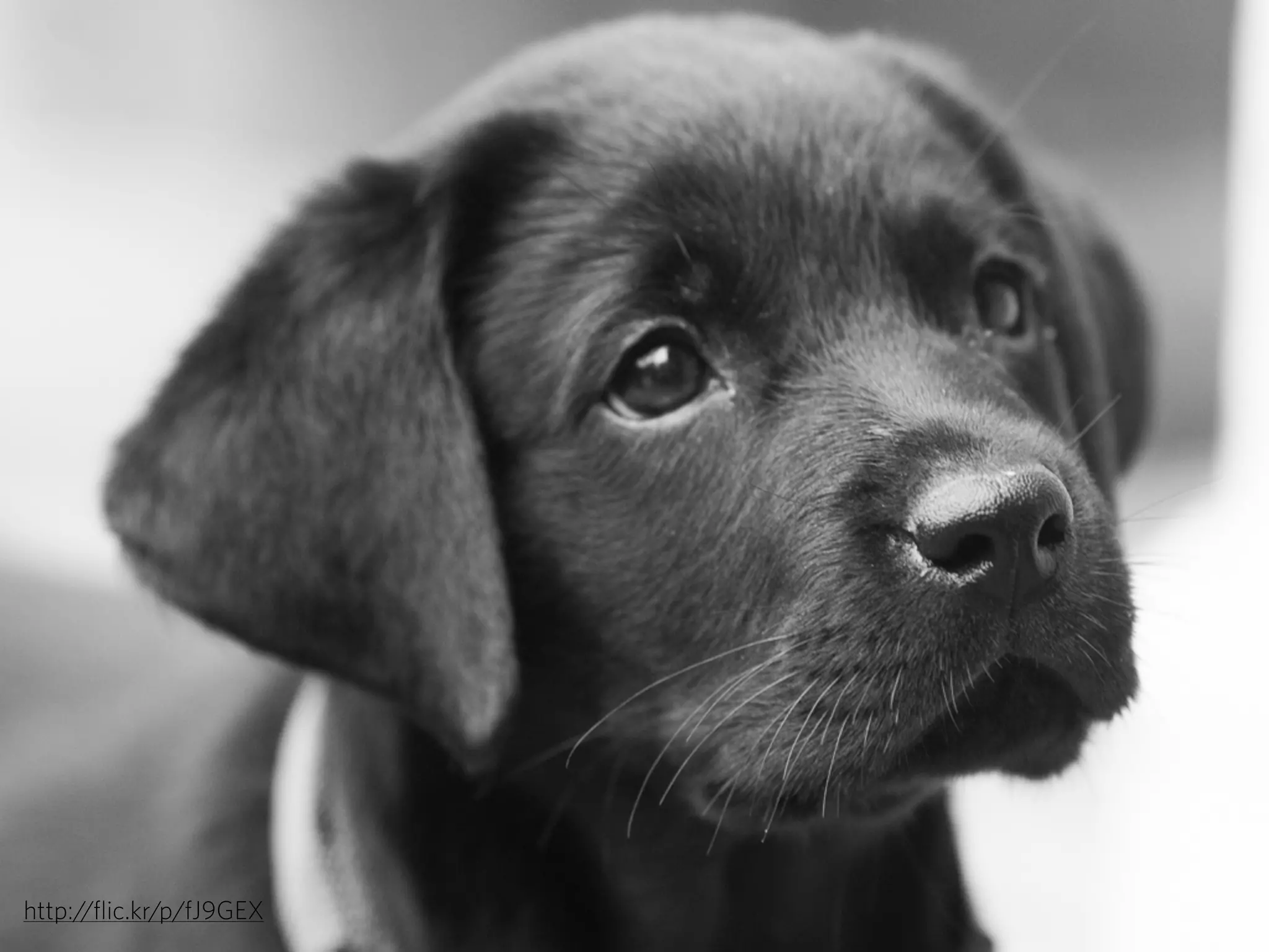 http:/
/flic.kr/p/fJ9GEX

 