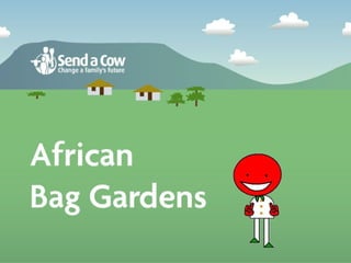 African Bag Gardens