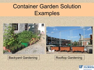 Container Garden Solution
Examples
Backyard Gardening Rooftop Gardening
 