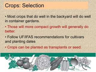 Crops: Selection
• Most crops that do well in the backyard will do well
in container gardens.
• Those will more compact growth will generally do
better.
• Follow UF/IFAS recommendations for cultivars
and planting dates
• Crops can be planted as transplants or seed.
 