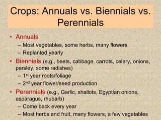 Crops: Annuals vs. Biennials vs.
Perennials
• Annuals
– Most vegetables, some herbs, many flowers
– Replanted yearly
• Biennials (e.g., beets, cabbage, carrots, celery, onions,
parsley, some radishes)
– 1st year roots/foliage
– 2nd year flower/seed production
• Perennials (e.g., Garlic, shallots, Egyptian onions,
asparagus, rhubarb)
– Come back every year
– Most herbs and fruit, many flowers, a few vegetables
 