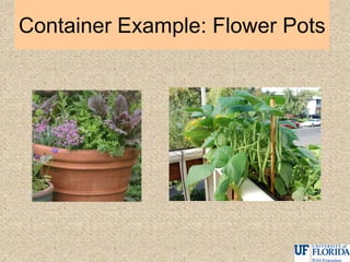 Container Example: Flower Pots
 