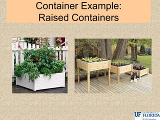 Container Example:
Raised Containers
 
