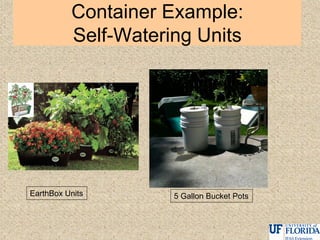Container Example:
Self-Watering Units
EarthBox Units 5 Gallon Bucket Pots
 