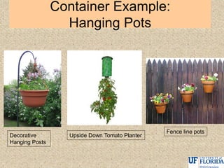 Container Example:
Hanging Pots
Upside Down Tomato Planter
Fence line pots
Decorative
Hanging Posts
 