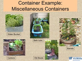 Container Example:
Miscellaneous Containers
Water Bucket
Bath tubs
Cartons Old Boots
Barrels
 
