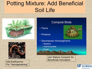 Potting Mixture: Add Beneficial
Soil Life
Add Earthworms
For “Vermigardening”
Use „Mature Compost‟ for
Beneficials Inoculation
 